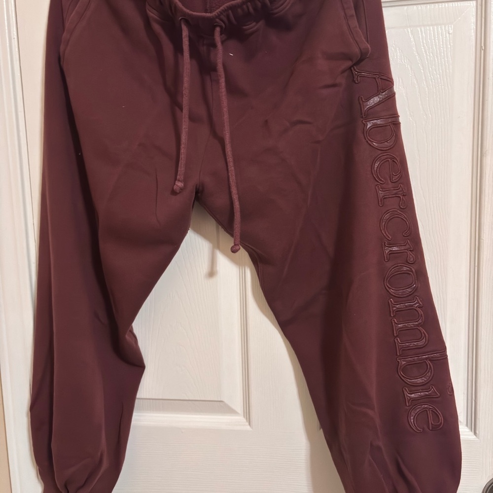 Abercrombie & Fitch Kids Burgundy Joggers